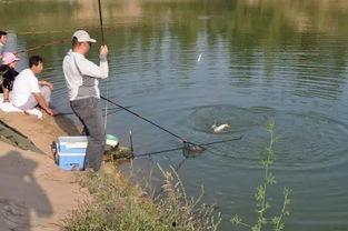 娱乐吃瓜钓鱼视频下载安装,娱乐吃瓜钓鱼视频，轻松安装体验新乐趣